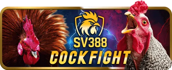 Cá cược thể thao W888